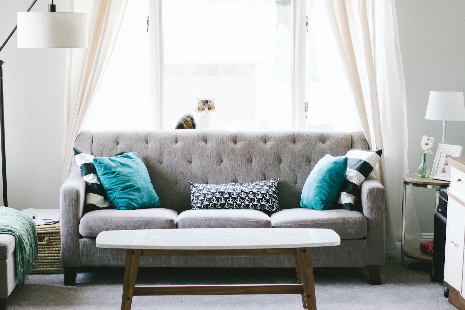 Revive Your Lounge Space: Mastering Sofa Cleaning for Every Material