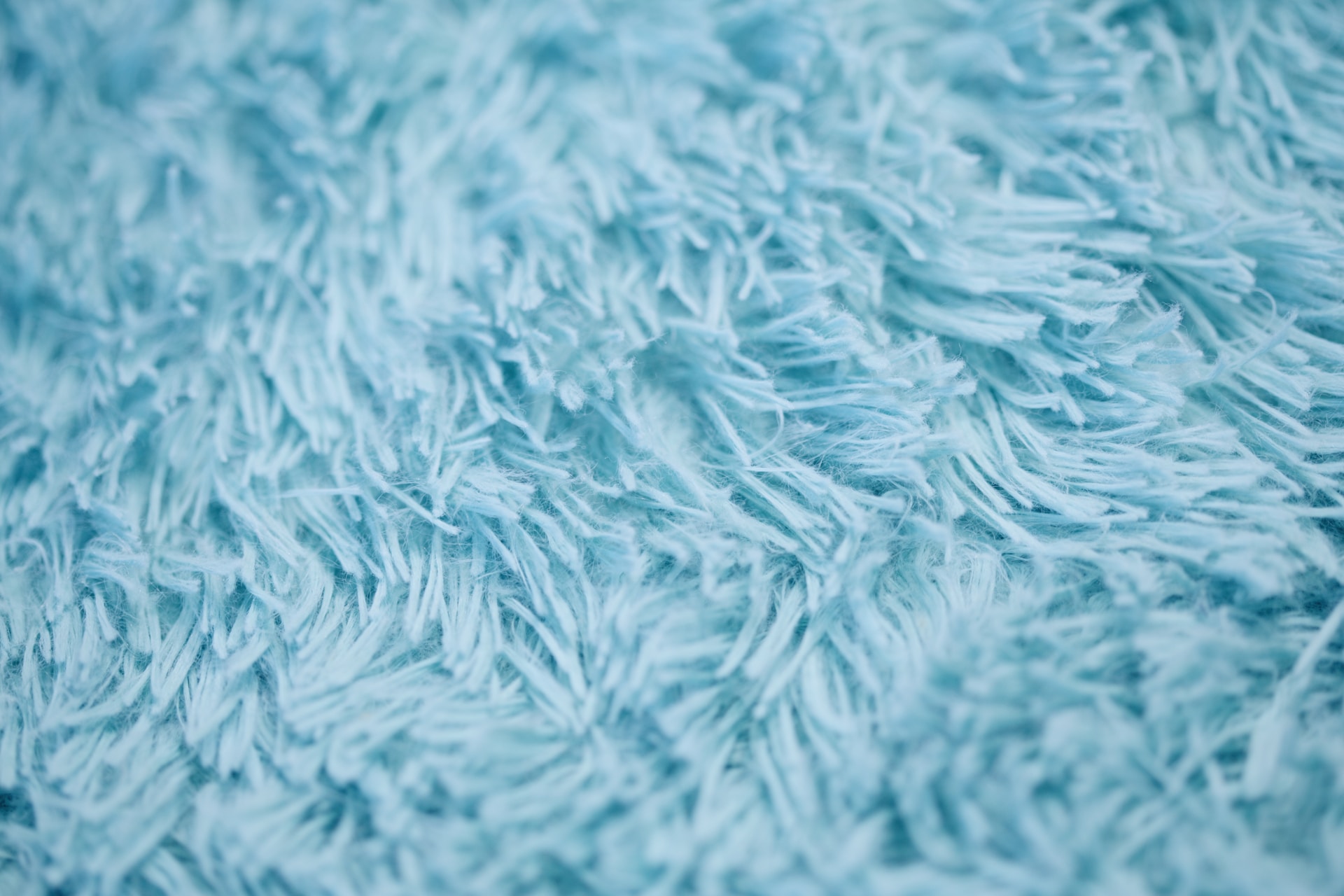 Unlocking the Secrets to Wool Carpet Longevity